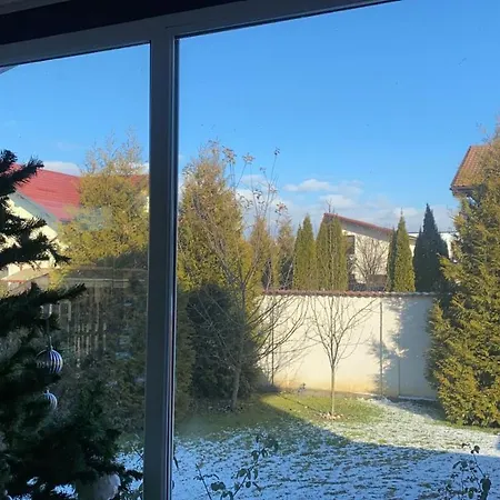 Duplex Cu Gradina *