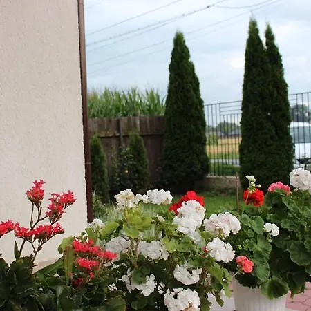 Duplex Cu Gradina Апартаменти Брашов