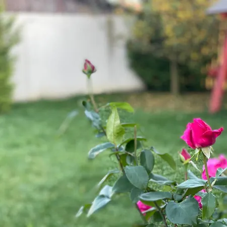 Апартаменти Duplex Cu Gradina *